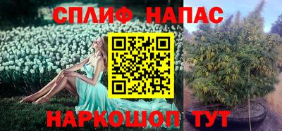 мдпв Ипатово
